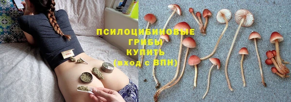 бошки Михайловка