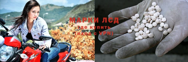 ПСИЛОЦИБИНОВЫЕ ГРИБЫ Арсеньев