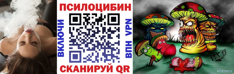Псилоцибиновые грибы Cubensis  блэк спрут маркетплейс  Аркадак 